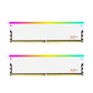 DDR5 | [Manta] XSky RGB | 32GB (16GBx2) | AMD EXPO | Gaming Memory