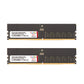 DDR5 | ECC U-DIMM |サーバーメモリ