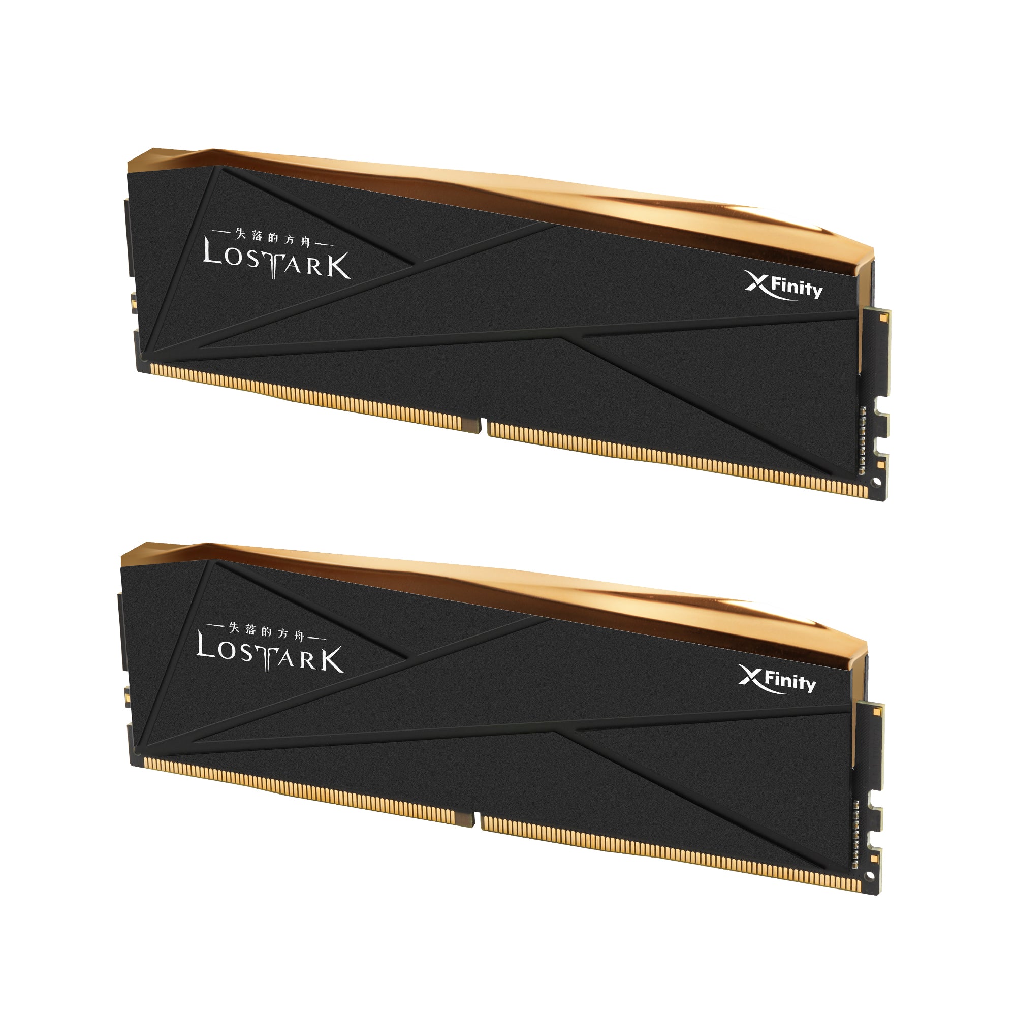 DDR5 | LOST ARK | [Manta] XFinity RGB | Gaming Memory