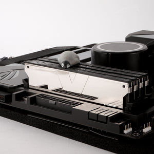 DDR4 | Skywalker Plus U-DIMM | 16GB (Single) | Overclocking Memory