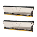 DDR4 | 32 GB (Dual) | Skywalker Plus U-DIMM | Speicher übertakten