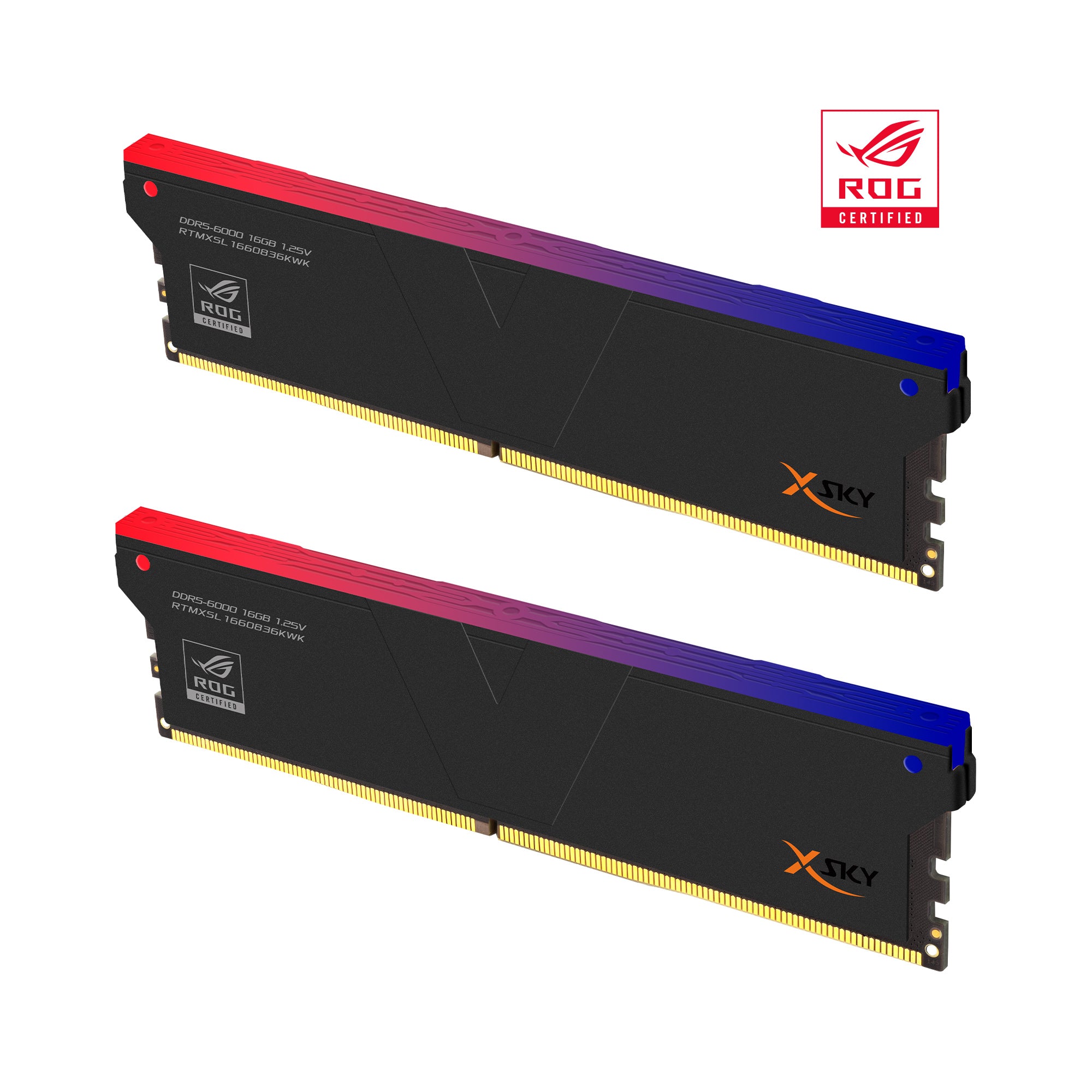 DDR5 | [Manta] ROG-Certified XSky RGB | 32GB (16GBx2) | INTEL XMP | Ga